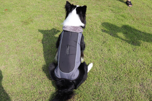 Ultimate Warmth Reflective Dog Coat-4