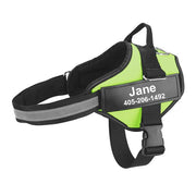Multicolor Customizable Pet Leash: The Perfect Fashion Accessory For Your Furry Friend-3