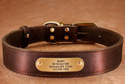 Personalized Dog Collars with Nameplate ID Tags for Medium Large Dogs