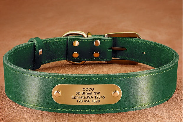 Personalized Dog Collars with Nameplate ID Tags for Medium Large Dogs