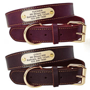 Personalized Dog Collars with Nameplate ID Tags for Medium Large Dogs
