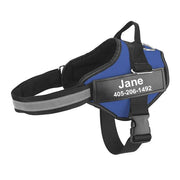 Multicolor Customizable Pet Leash: The Perfect Fashion Accessory For Your Furry Friend-6
