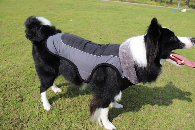 Ultimate Warmth Reflective Dog Coat-1