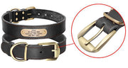 Personalized Dog Collars with Nameplate ID Tags for Medium Large Dogs