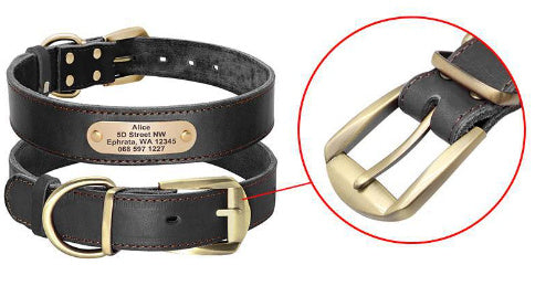 Personalized Dog Collars with Nameplate ID Tags for Medium Large Dogs