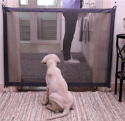 The Petsafe Barrier Buddy-0