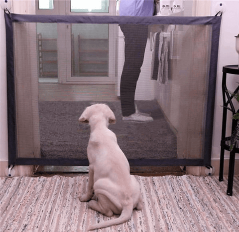 The Petsafe Barrier Buddy-0