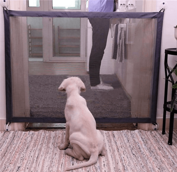 The Petsafe Barrier Buddy-0