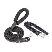 Dogs With One Tow Two Leashes Pets Double Heads