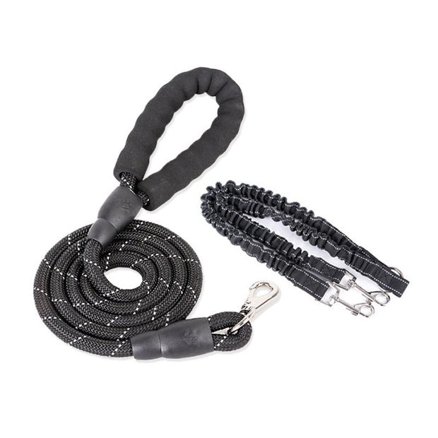 Dogs With One Tow Two Leashes Pets Double Heads