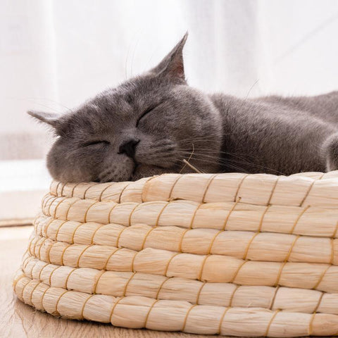 Cozy Haven: Handcrafted Felt House Cat Bed-2