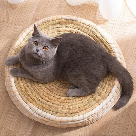 Cozy Haven: Handcrafted Felt House Cat Bed-0