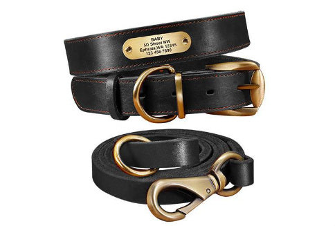 Personalized Dog Collars with Nameplate ID Tags for Medium Large Dogs